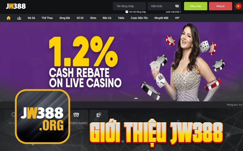Giới thiệu JW388